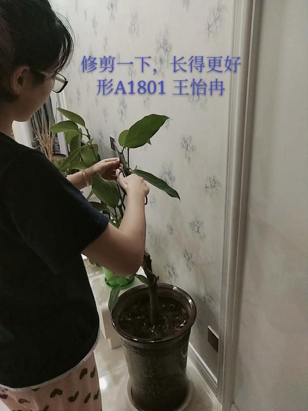 1584102889216019.jpg